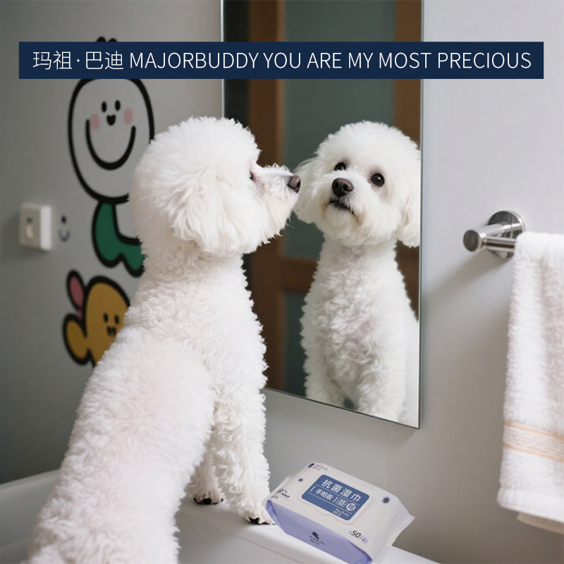 huidefeng Antibacterial Wipes Powerful Antimicrobial  Portable and Easy to Use Pet Antibacterial Wash