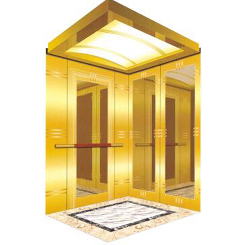 apashilongdianti Luxury villa elevatorAPSL-B21  Silent elevator Residential elevator