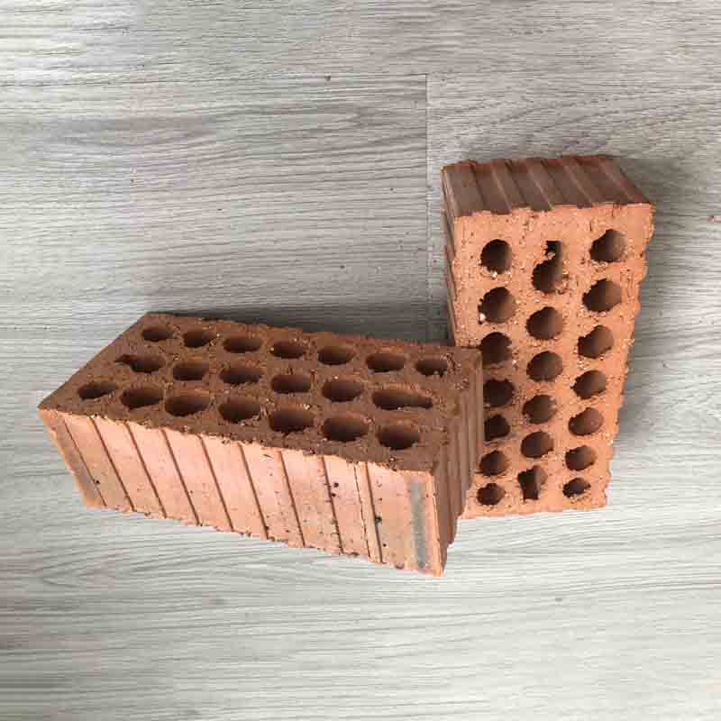 Tedon Coal gangue sintered porous brick  Perforated wall bricks Build wall bricks