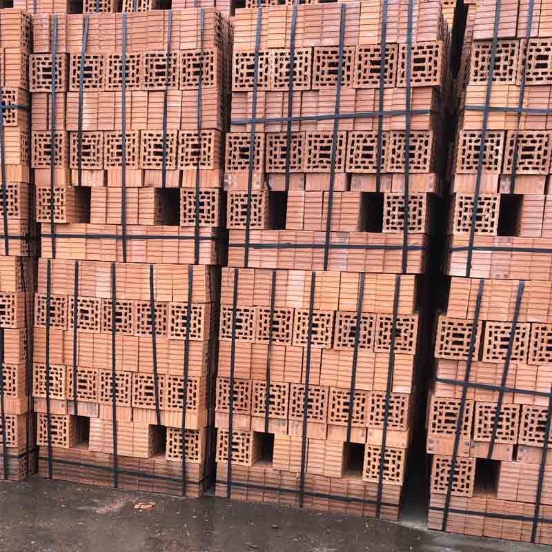 Tedon Sintered porous brick of coal gangue  Concrete cement brick laminated rock brick porous brick